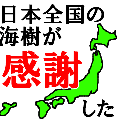 日本全国の海樹