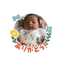 shiho_20220315155031