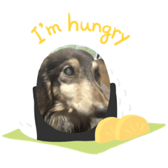 nanami_20220315180821