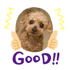 tomomi_20220316110235