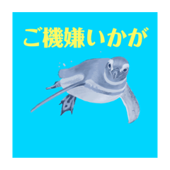 Kamiariduki_20220315232929