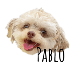 I'm pablo.