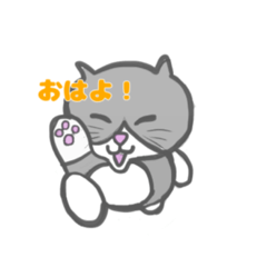 Black and White cat 1