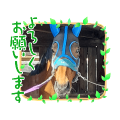 yuka_20220315202051