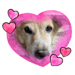 mizuki_20220316002504