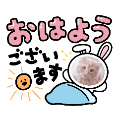 msk_20220315213353