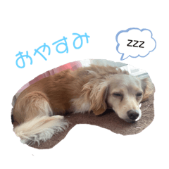 ayumi_20220316124201