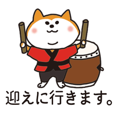 Shiba Inu playing Japanese drums