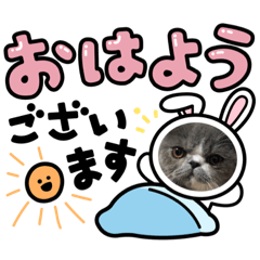 Raimu-mam_20220316142130