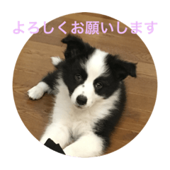 Sakurako_20220316135740