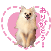 NATSUKONO MOKO'S Sticker
