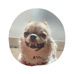 hana_20220316151802