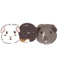 NJ guinea pigs  stickers revised edition