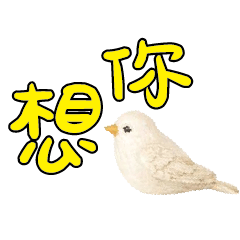 conversation expression bird Chick114
