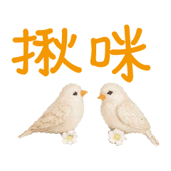 conversation expression bird Chick113
