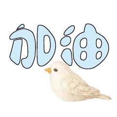conversation expression bird Chick115