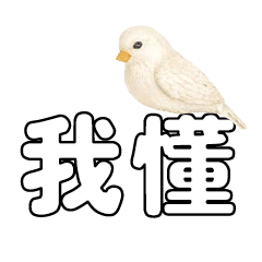 conversation expression bird Chick112