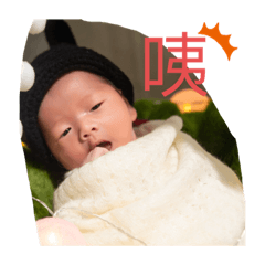 萌娃OMG