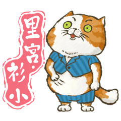 Taiwanese cat Japanese name