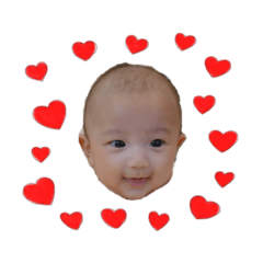 shisuke2