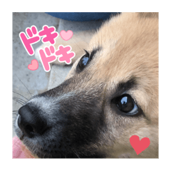 hana_20220316222812
