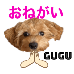 gugu20220317