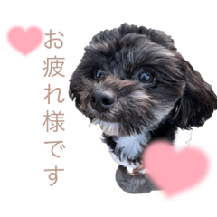 Rina_20220316190503