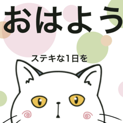 ぽけ猫☆ママが使いそう編