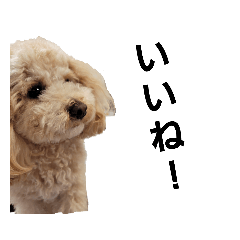 Mizuki_20220316195426