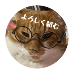 maygoma_20220317111044