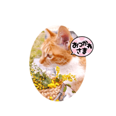 miko_20220317061721