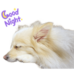 kazuki_20220317064553