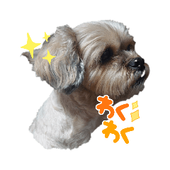 ayumi_20220317083953