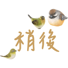 常用大字對話可愛鳥雞鴨202