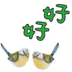 常用大字對話可愛鳥雞鴨206