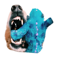 Ayumi_20220316231833