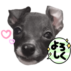 Alice_20220316234855