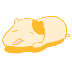 Relaxed hamster Torring