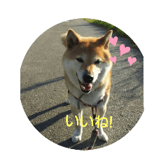 yukari_20220317090152