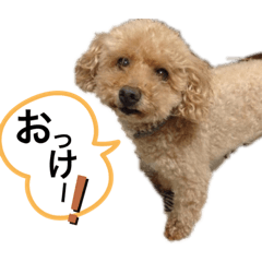 mari.t_20220316230134