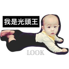 語霆寶寶蛋