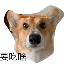 周諾