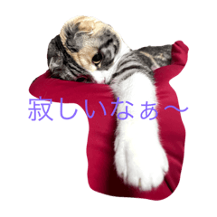 YUTO_20220317121254