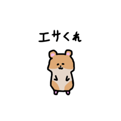mimio_20220317142812