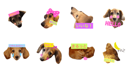 Stamp that can be used