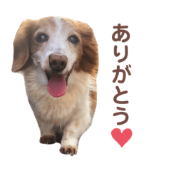 Nanami_20220317131059