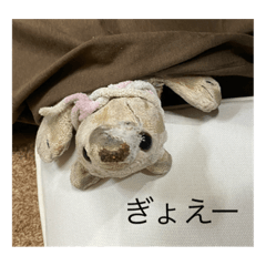 suzu_20220314211027