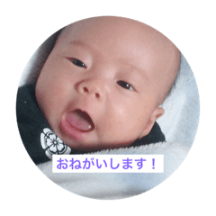 yamato@teinei
