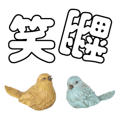 conversation expression bird Chick 212