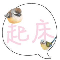 conversation expression bird Chick 213